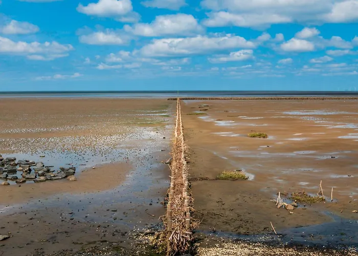 Bude 14 Apartamento *